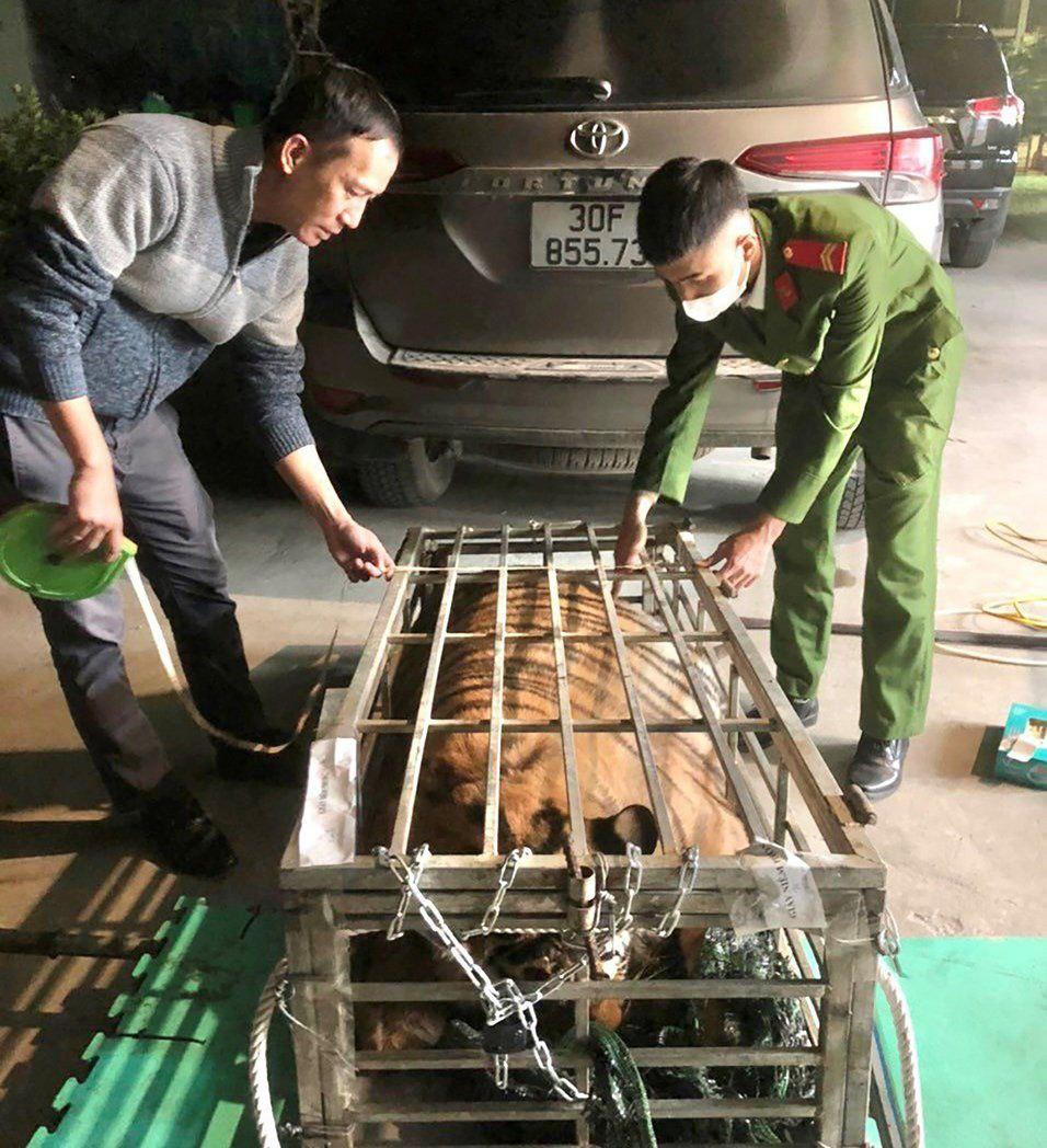 Hành trình cứu hộ hơn 1.500 động vật hoang dã của River Safari Nam Hội An