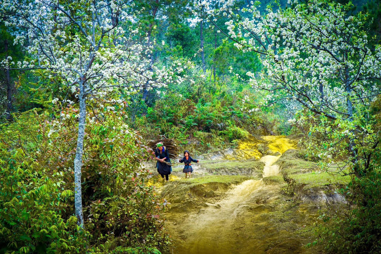 Cô đỡ thôn bản: Cầu nối giúp sản phụ vùng cao “vượt cạn”