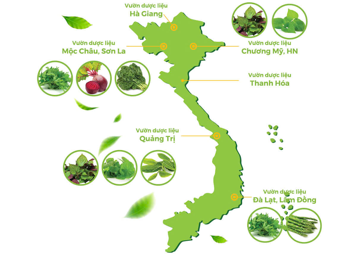 eHerbal: Nêu cao tinh thần thượng tôn pháp luật