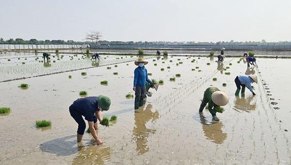 Hải Dương: Vừa chống dịch vừa giữ vững “mặt trận” sản xuất, kinh doanh an toàn