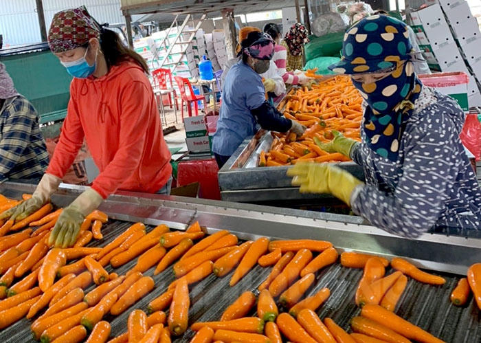 Chủ tịch UBND tỉnh Hải Dương đề nghị các địa phương tạo điều kiện thông thương hàng hoá