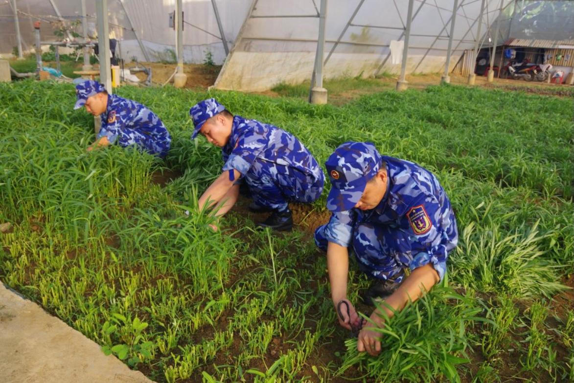 Bộ Tư lệnh Cảnh sát biển đẩy mạnh các hoạt động giúp đỡ nhân dân bị ảnh hưởng dịch COVID-19