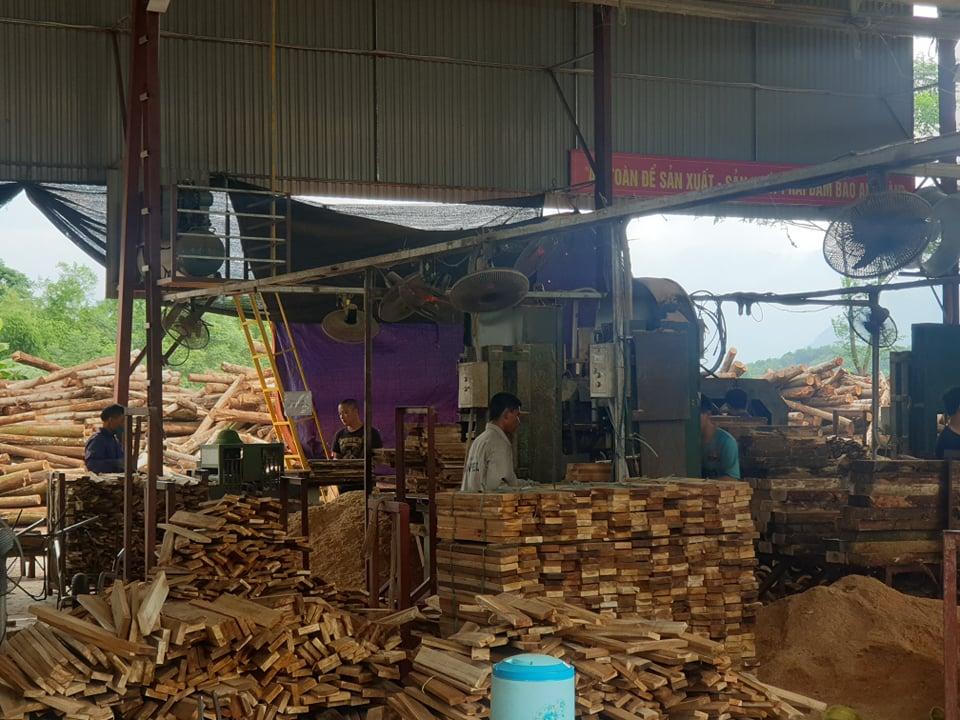 Đại Từ (Thái Nguyên): Bất lực hay buông lỏng quản lý đất đai cho hộ dân vi phạm trên đất công nhiều năm?