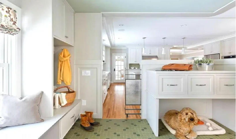 Trang trí nhà khi có thú cưng