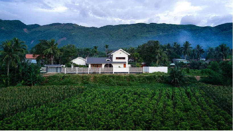 Cận cảnh ngôi nhà 'trăm năm không cũ' giữa đồng quê Bình Định