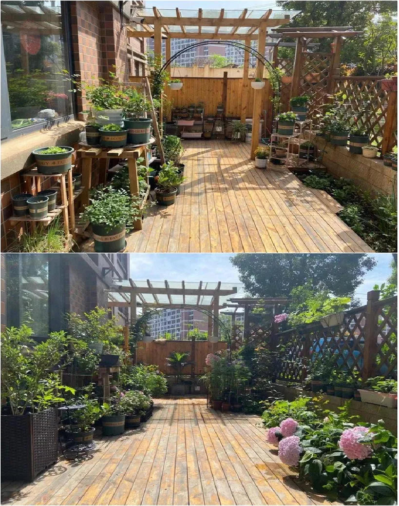 Sau 2 năm sử dụng, khu vườn 48m² khiến ai cũng phải trầm trồ trước diện mạo mới