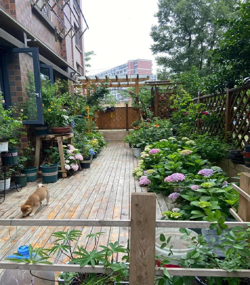 Sau 2 năm sử dụng, khu vườn 48m² khiến ai cũng phải trầm trồ trước diện mạo mới