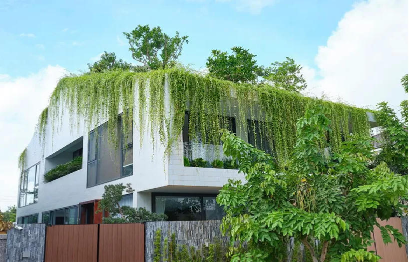 Nhà 3 tầng gây thương nhớ với 'khu vườn trên mây'