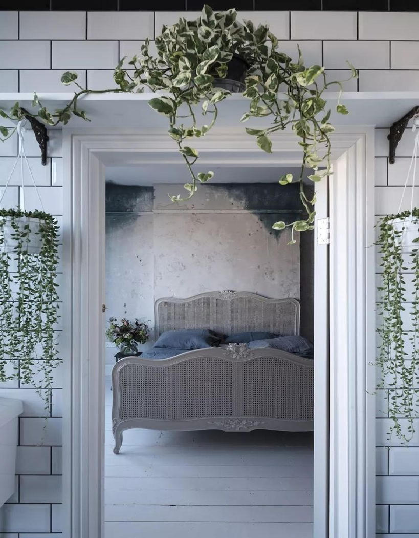 6 cách kết hợp cây xanh vào không gian nội thất