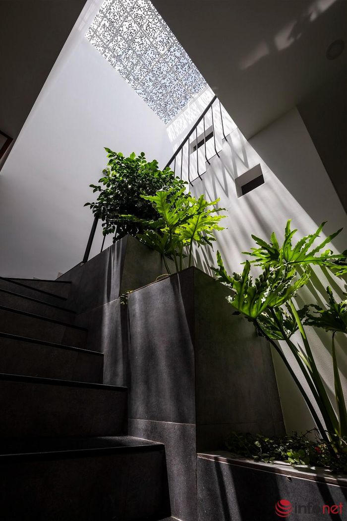 Ngôi nhà tối giản, đem lại cảm giác thư thái của nữ giáo viên