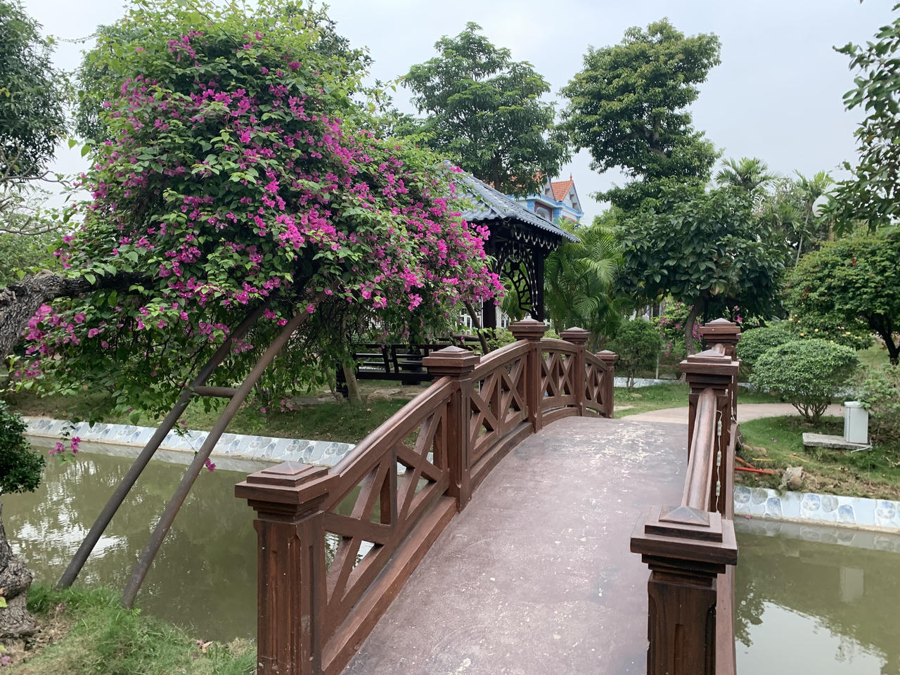 “Công viên cộng đồng” miễn phí tuyệt đẹp ở thôn quê thu hút hàng trăm người đến vui chơi mỗi ngày