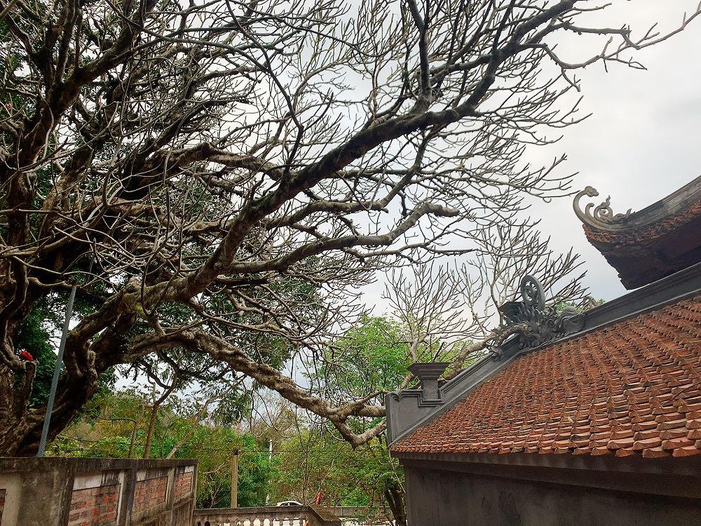 Về Chí Linh chiêm ngưỡng ngôi cổ tự linh thiêng, hữu tình