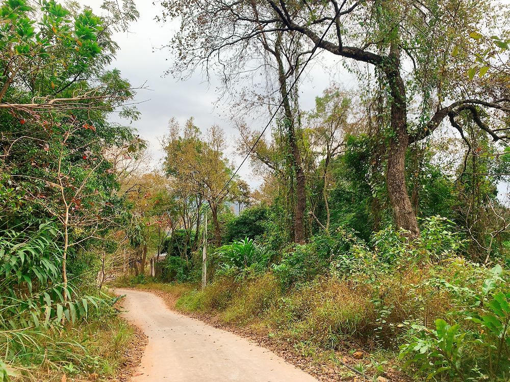 Về Chí Linh chiêm ngưỡng ngôi cổ tự linh thiêng, hữu tình