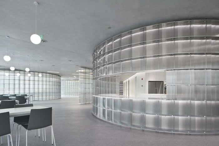 Đường cong và ánh sáng tạo nên không gian văn phòng ở Thượng Hải