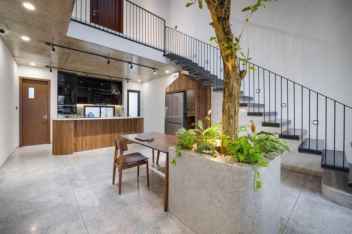 Tò mò ngôi nhà 'không mái', mát quanh năm ở Đà Nẵng