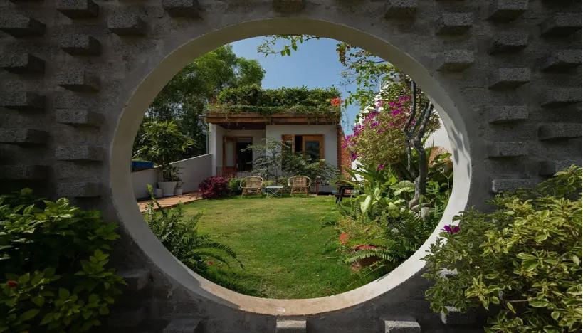 Ngôi nhà 'Dế Mèn' với không gian mát lành nhờ cây xanh, vườn rau sạch trên mái