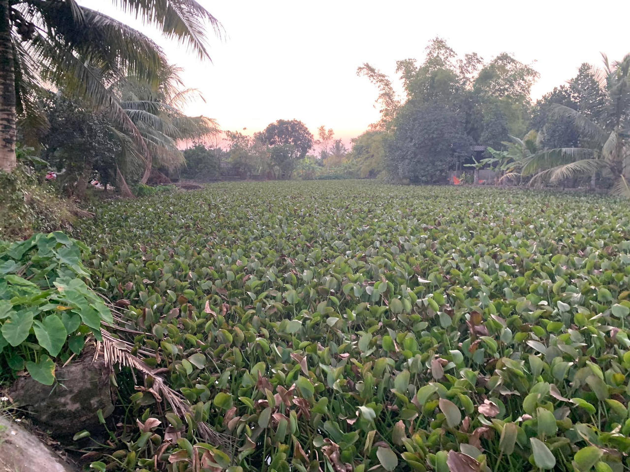 Tứ Kỳ (Hải Dương): Cán bộ thôn ký thoả thuận giao sông lấy tiền 