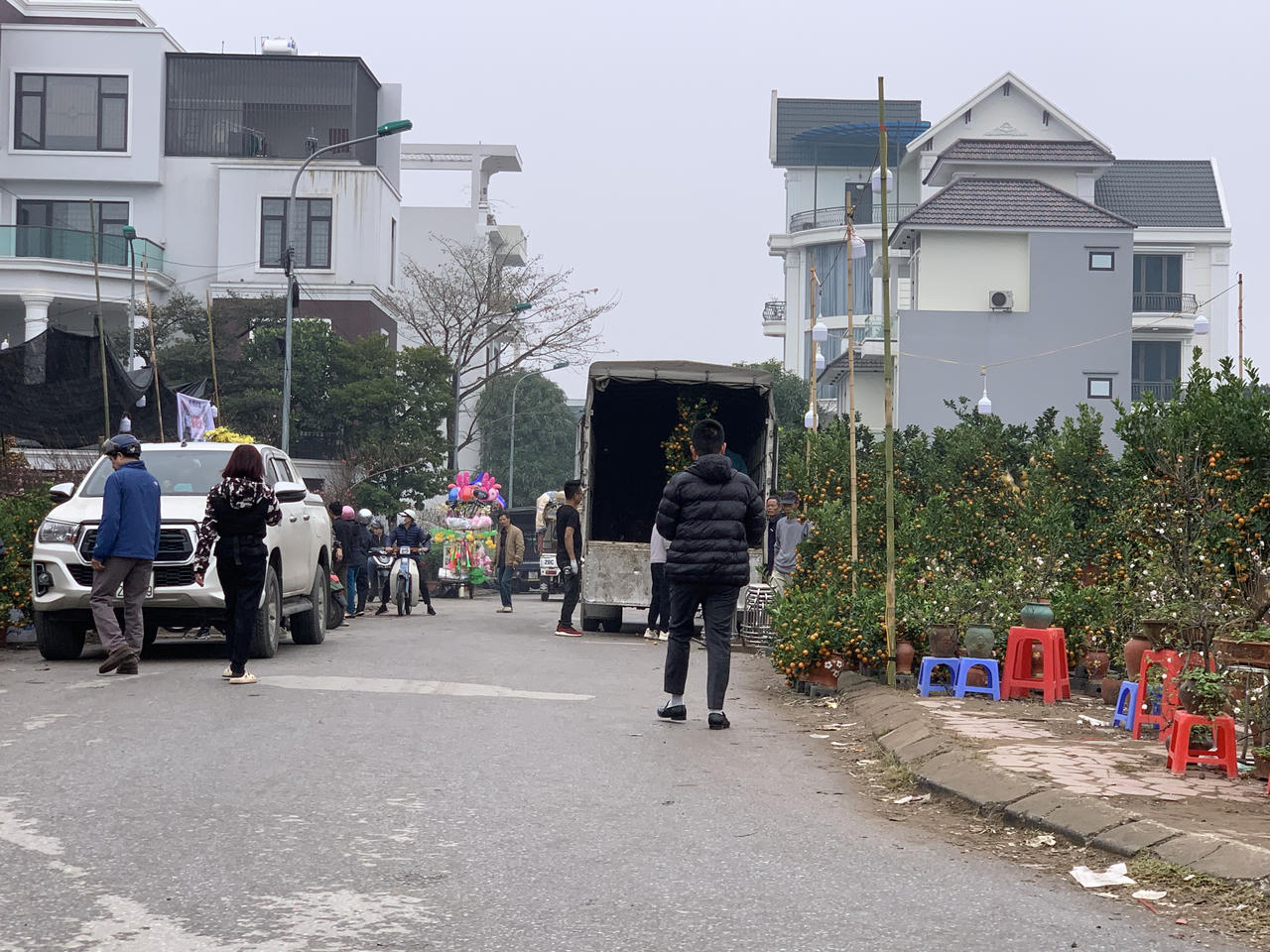 Thị trường vườn hoa, cây cảnh nhộn nhịp, sôi động dịp Tết 2024