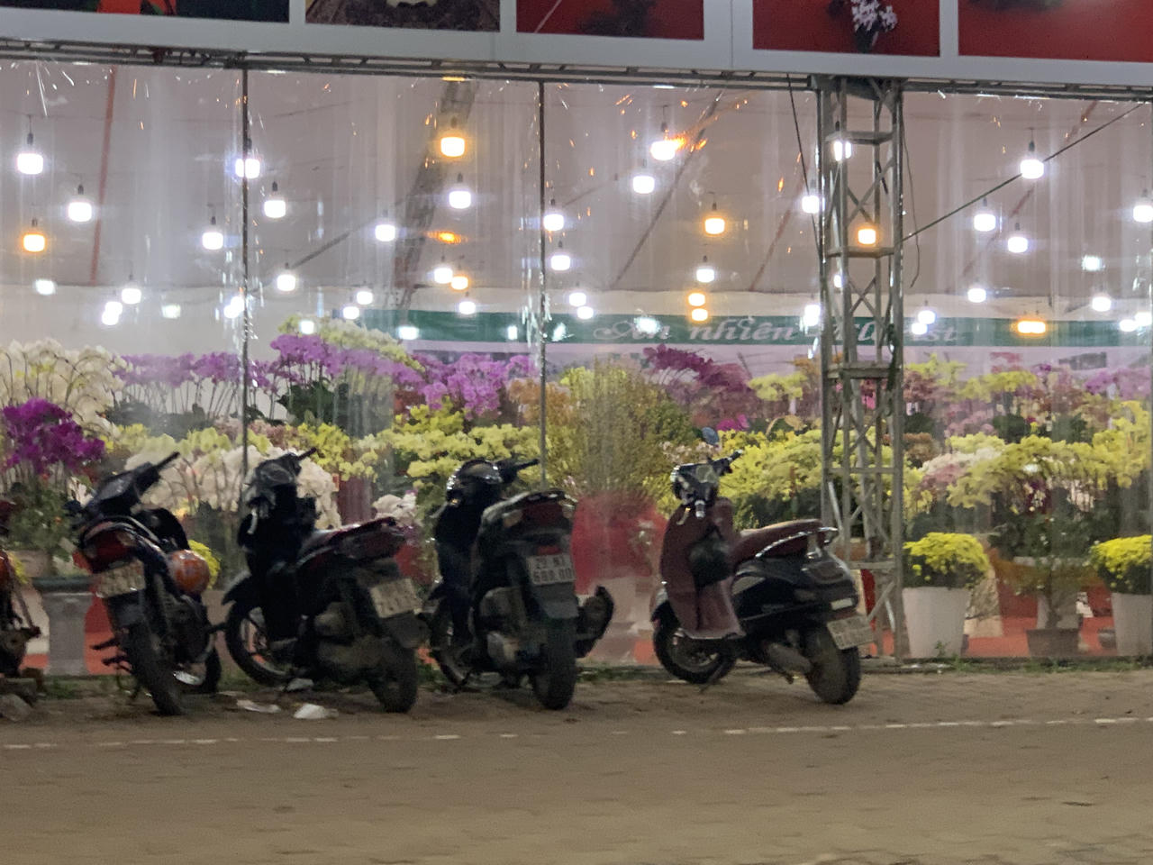 Thị trường vườn hoa, cây cảnh nhộn nhịp, sôi động dịp Tết 2024