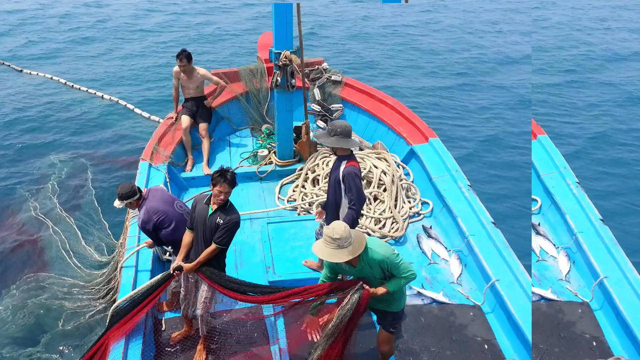 Khai thác thuỷ sản không có giấy phép sẽ bị phạt tới 100 triệu đồng