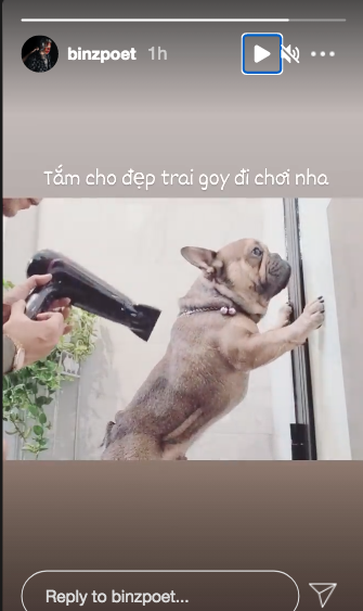  Binz tắm cho "boss". (Ảnh: Chụp màn hình)