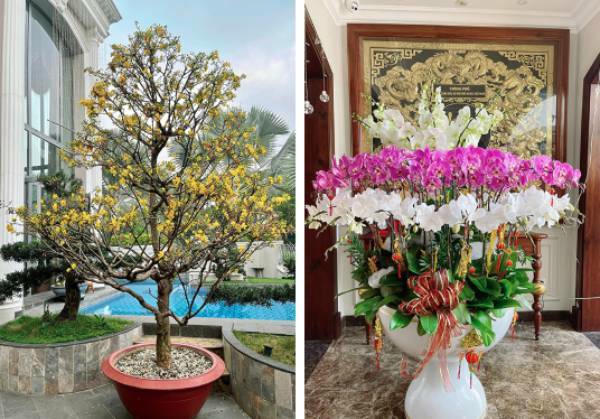  Bảo Thy trang trí lộng lẫy cho biệt thự. (Ảnh: FBNV)