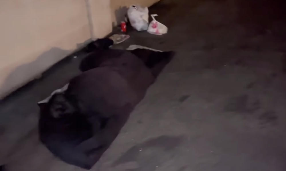 Xót xa chứng kiến nghệ sĩ Kim Ngân ngủ ngoài sân giữa trời đêm lạnh giá