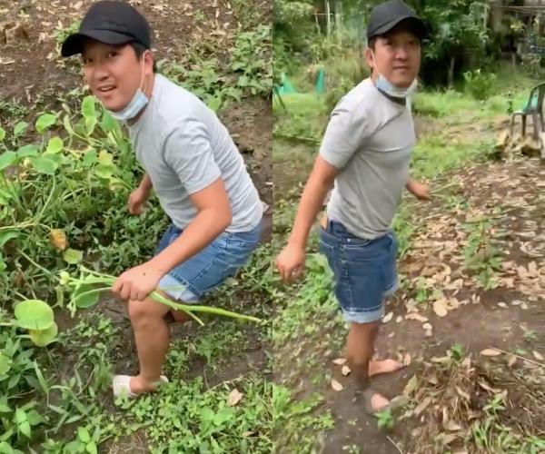 Trường Giang về quê lội bùn hái rau, chẻ củi để nấu ăn; dân mạng ủng hộ Việt Anh được đề nghị xét tặng NSƯT