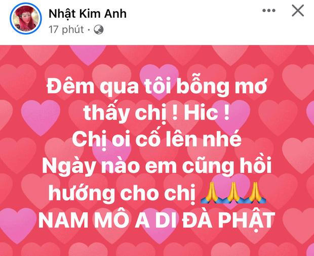 NS Tấn Hoàng tuy nghèo nhưng không khổ; dàn sao Việt nguyện cầu cho Phi Nhung sau thông tin sức khoẻ chuyển biến xấu