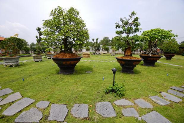 Cận cảnh Nhà thờ Tổ sơn son thếp vàng của NS Hoài Linh