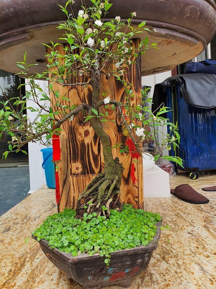 Biệt thự triệu đô thiết kế đậm chất châu Âu của ca sĩ Tuấn Hưng