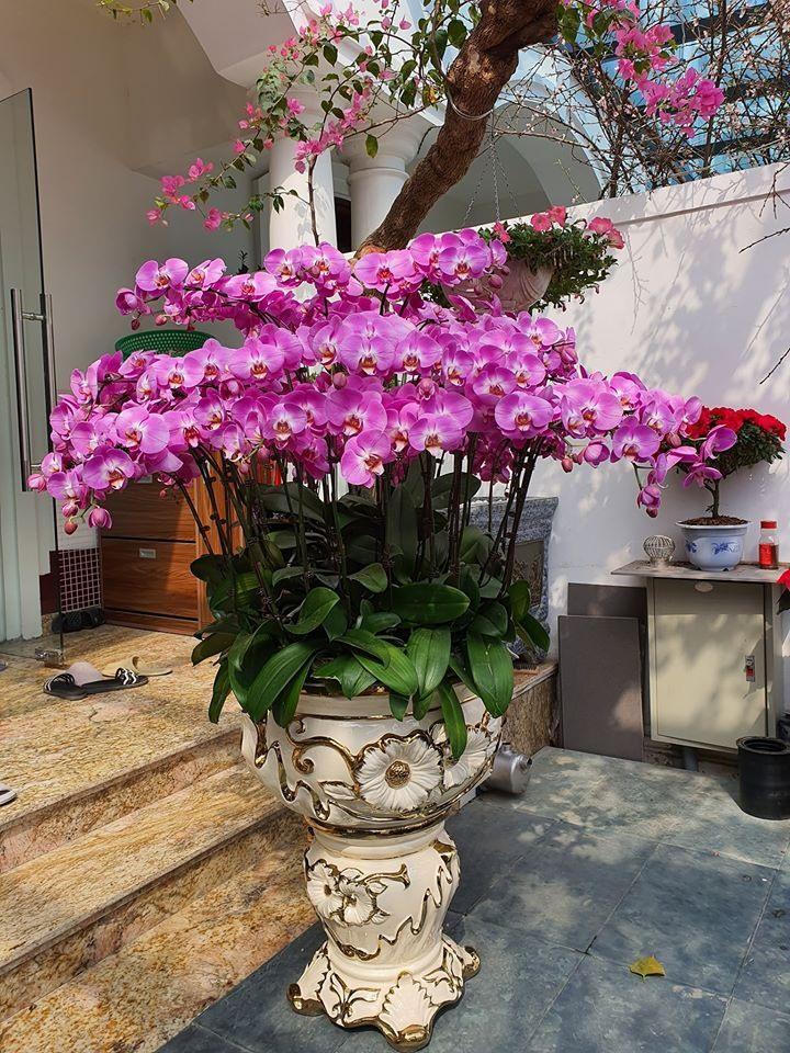 Biệt thự triệu đô thiết kế đậm chất châu Âu của ca sĩ Tuấn Hưng