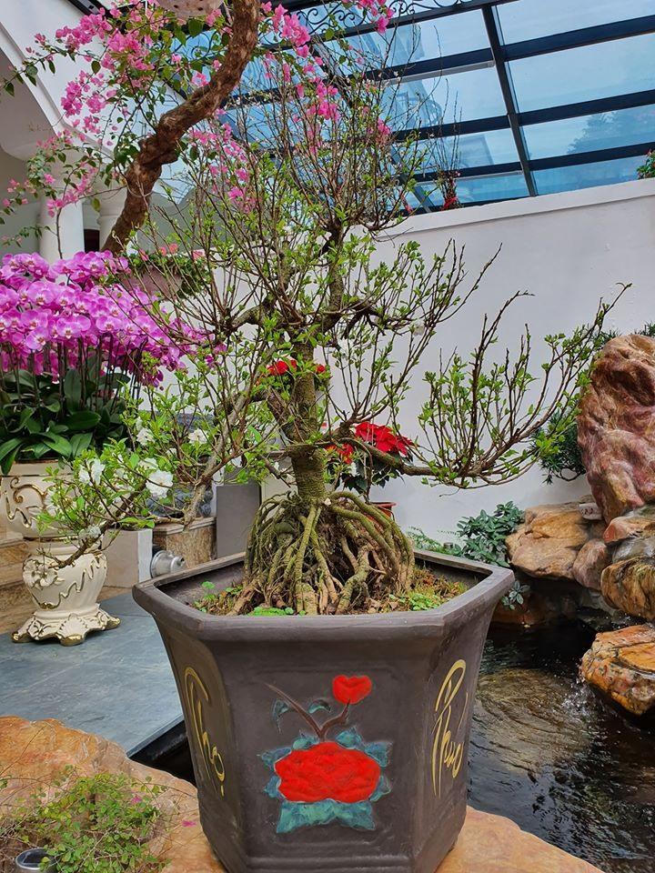 Biệt thự triệu đô thiết kế đậm chất châu Âu của ca sĩ Tuấn Hưng