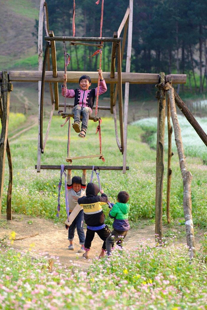 Mãn nhãn với cánh đồng hoa Sơn La 