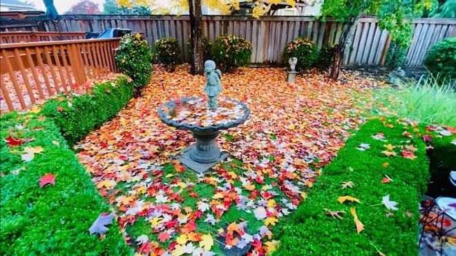 Biệt thự lãng mạn dưới tán cây phong của ca sĩ Mạnh Quỳnh tại Mỹ