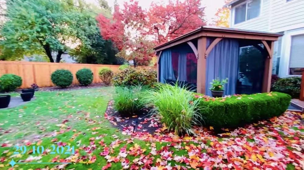 Biệt thự lãng mạn dưới tán cây phong của ca sĩ Mạnh Quỳnh tại Mỹ