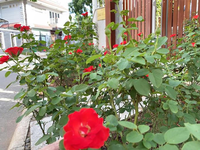 Biệt thự kín hoa của vợ chồng diễn viên Quý Bình