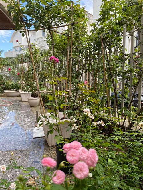 Biệt thự kín hoa của vợ chồng diễn viên Quý Bình