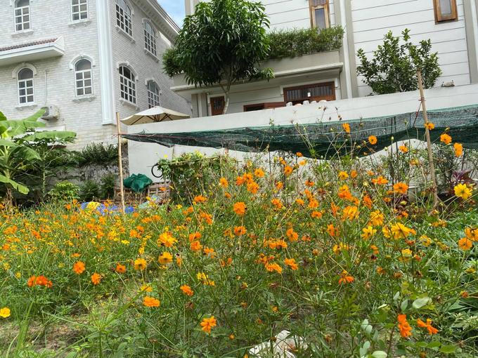 Biệt thự kín hoa của vợ chồng diễn viên Quý Bình