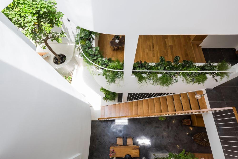 Kiến trúc "bổ đôi" biệt lập nhưng vẫn không thiếu sự gắn kết của căn biệt thự ở Sài Thành 