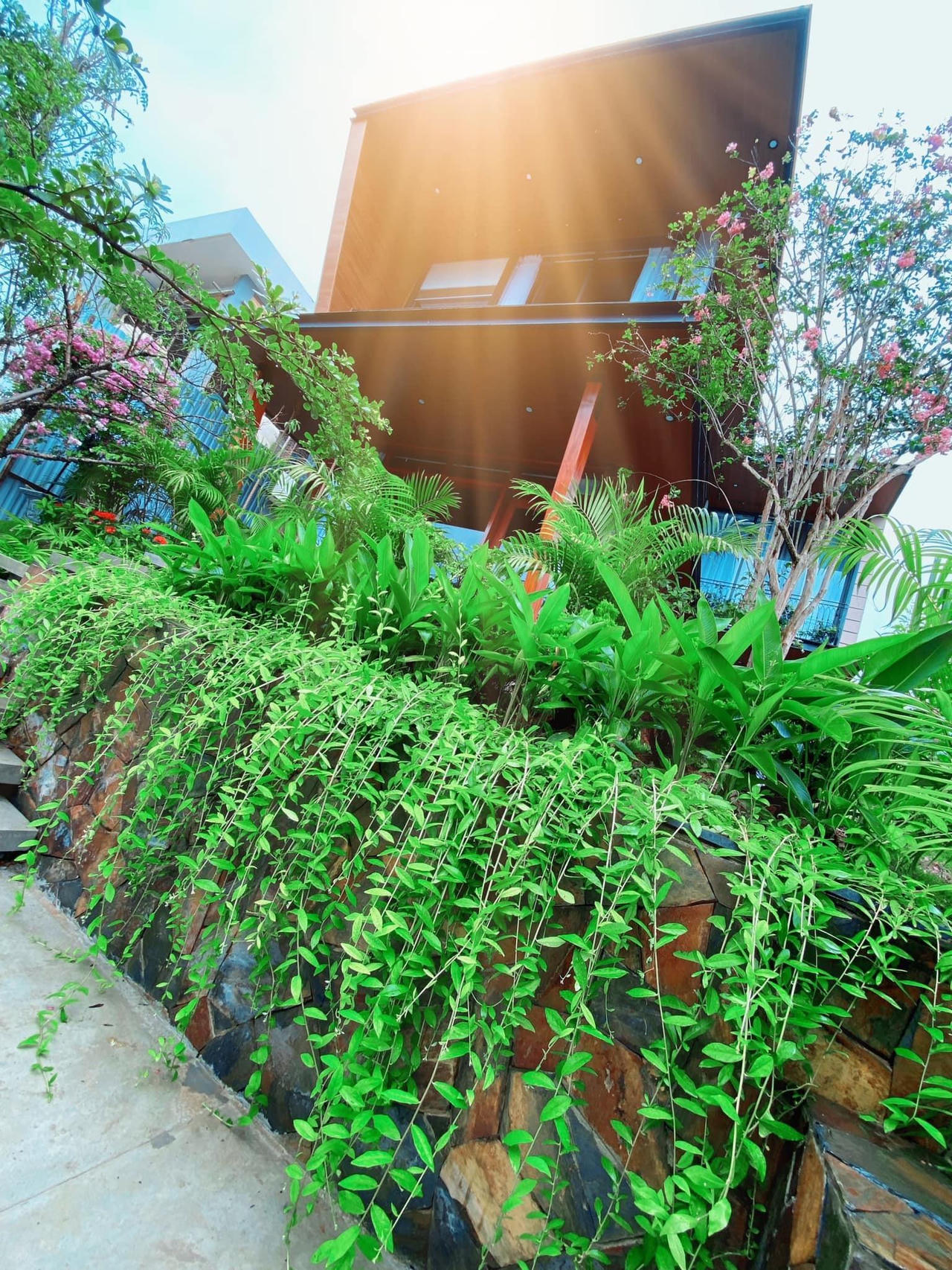 “Ốc đảo” xanh mướt rộng 250m2 ở Vĩnh Phúc của bà mẹ 2 con