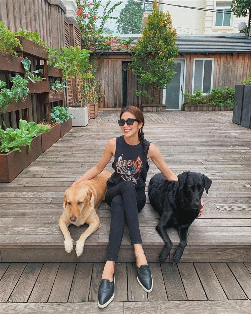 Cận cảnh căn biệt thự triệu đô của Tăng Thanh Hà và ông xã Louis Nguyễn