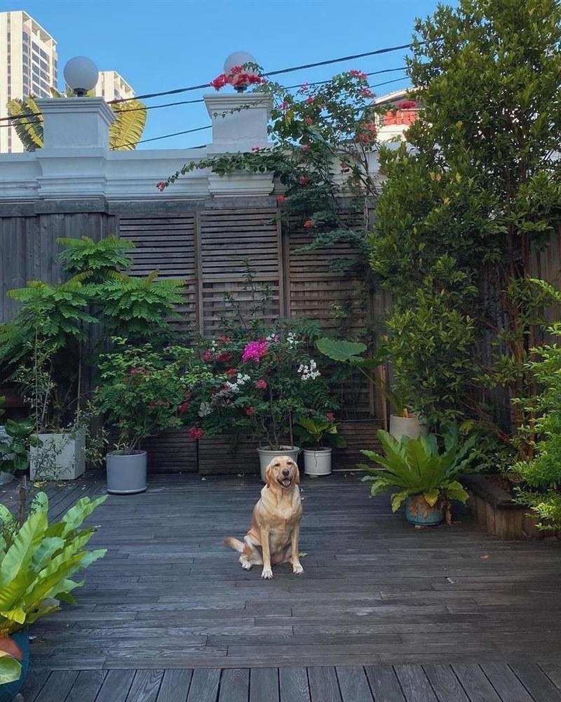 Cận cảnh căn biệt thự triệu đô của Tăng Thanh Hà và ông xã Louis Nguyễn