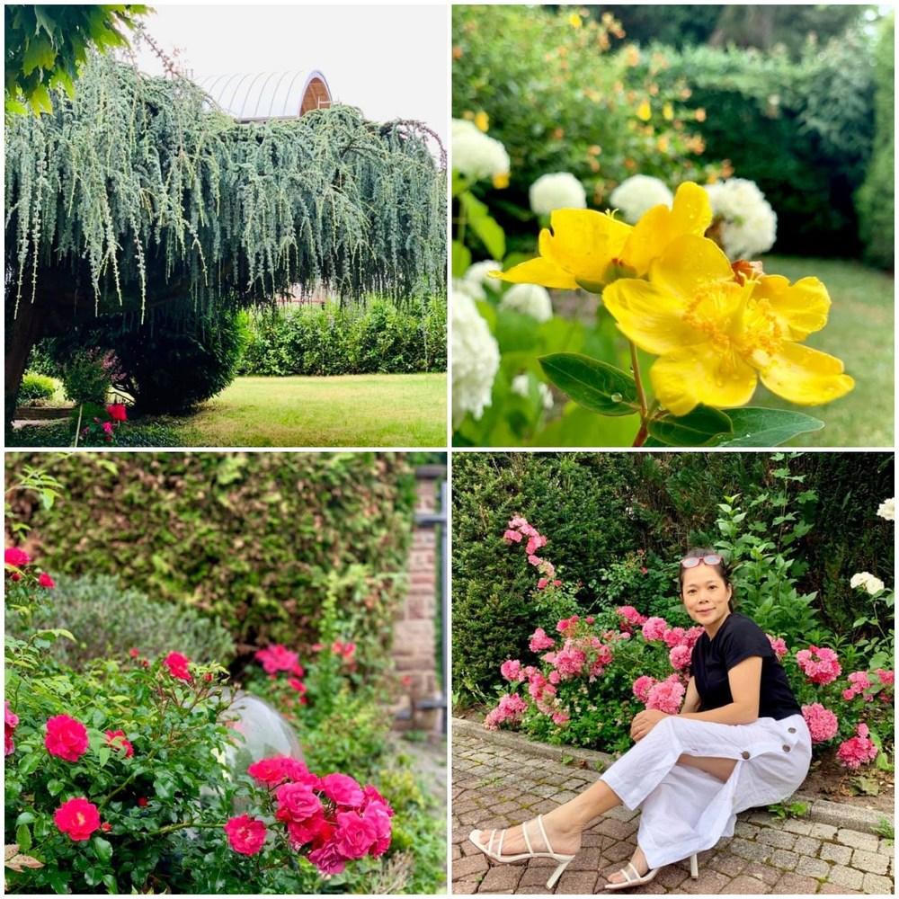 2 khu vườn "bạc tỷ" tại Việt Nam và Đức rộng 1.400m2 của ca sĩ Mỹ Lệ