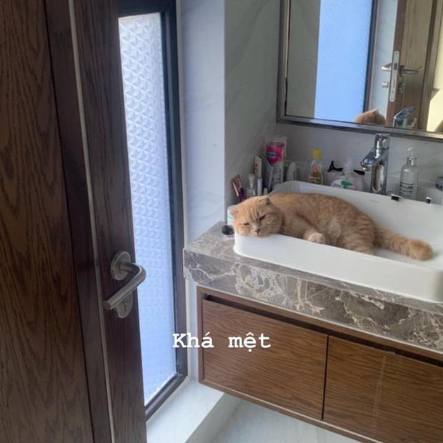 Căn hộ của hoa hậu Mai Phương Thuý đơn giản đến khó tin