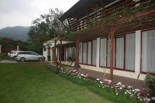 Chiêm ngưỡng biệt thự triệu đô xanh mát của gia đình ca sĩ Mỹ Linh