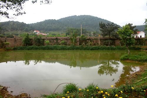 Chiêm ngưỡng biệt thự triệu đô xanh mát của gia đình ca sĩ Mỹ Linh