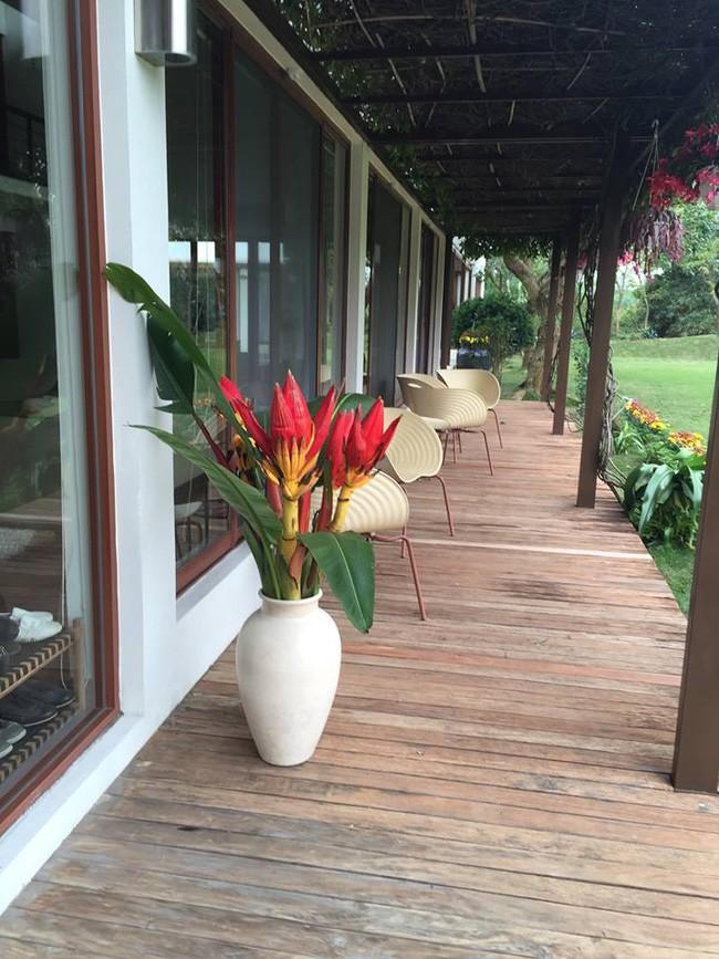 Chiêm ngưỡng biệt thự triệu đô xanh mát của gia đình ca sĩ Mỹ Linh