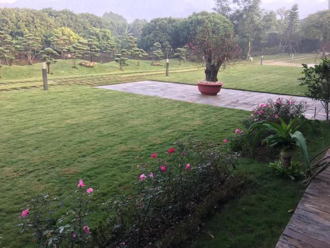 Chiêm ngưỡng biệt thự triệu đô xanh mát của gia đình ca sĩ Mỹ Linh