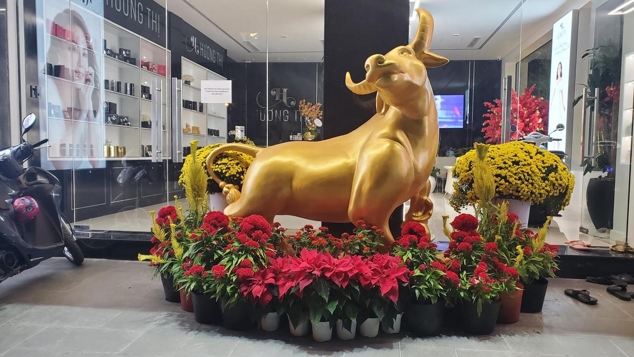 Biệt thự bạc tỷ có thang máy của Việt Hương tại TP HCM